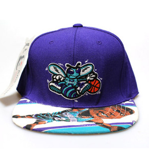 [앤드 스틸] Hornets &quot;Big L&quot; Snapback Hat